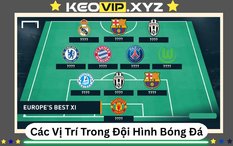 Các Vị Trí Trong Đội Hình Bóng Đá - Vai Trò Nào Cũng Quan Trọng 1 Các Vị Trí Trong Đội Hình Bóng Đá - Vai Trò Nào Cũng Quan Trọng