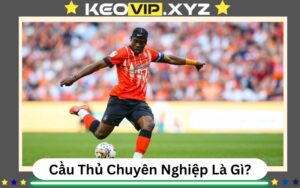 Cau Thu Chuyen Nghiep La Gi Nghe “An Bong Da Ngu Da Bong” (1)