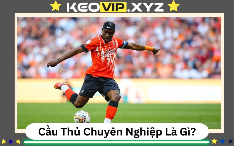 Cau Thu Chuyen Nghiep La Gi Nghe “An Bong Da Ngu Da Bong” (1)