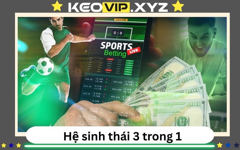 Hệ sinh thái 3-trong-1