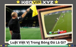 Luật Việt Vị Trong Bóng Đá Là Gì? Giải Thích Dễ Hiểu Cho Newbie