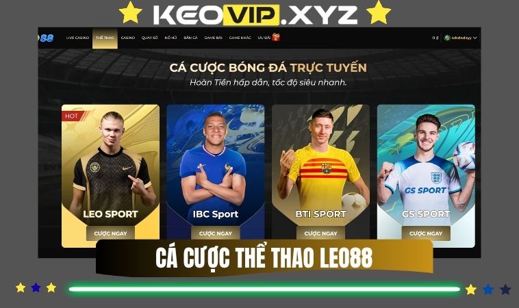 Ca Cuoc The Thao Leo88 Meo Doc Keo Va Vao Tien Hop Ly