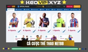 Ca Cuoc The Thao Net88 – San Choi Dinh Cao Cho Dan Cuoc Chuyen