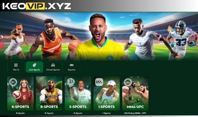 Cá cược thể thao trực tuyến – Đỉnh cao của chiến thuật và cảm xúc