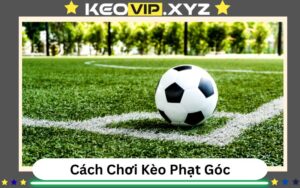 Cach Choi Keo Phat Goc Chuan Chinh Va Phan Tich Chuyen Sau
