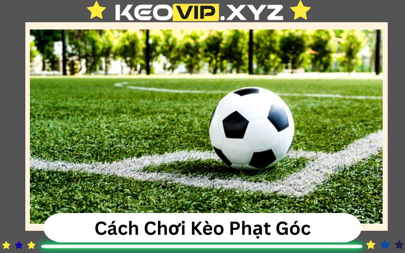 Cach Choi Keo Phat Goc Chuan Chinh Va Phan Tich Chuyen Sau