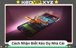 Cách Nhận Biết Kèo Dụ Của Nhà Cái - Dấu Hiệu Và Cơ Chế Bẫy Cược