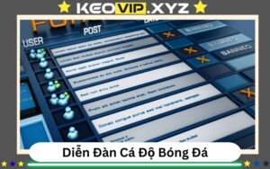 Diễn Đàn Cao Thủ Cá Độ Việt Nam – Nơi Cược Thủ Chia Sẻ Kinh Nghiệm