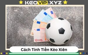 Huong Dan Chi Tiet Cach Tinh Tien Cuoc Xau Keo Xien Chinh Xac