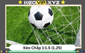 Kèo 1-1.5 Là Gì? Giải Mã Kèo Chấp 1.25 Từ Người Trong Nghề