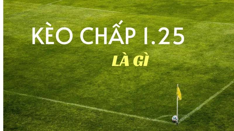 Kèo 1-1.5 Là Gì? Giải Mã Kèo Chấp 1.25 Từ Người Trong Nghề 2 Keo 1 – 1 5 la gi