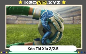 Keo 2 2 5 La Gi Cach Hieu Va Kinh Nghiem Choi Hieu Qua