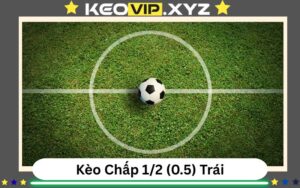 Kèo Chấp 1/2 Là Gì? Giải Mã Chi Tiết Kèo 0.5 Cho Cược Thủ
