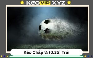 Kèo Chấp 1/4 Trái Là Gì? Hướng Dẫn Đọc Kèo 0.25 (0-0.5)