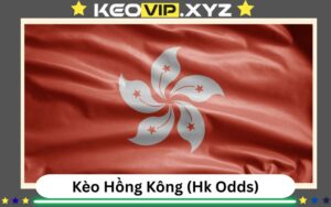 Kèo Hồng Kông (Hk Odds) Là Gì? Cách Đọc Và Ứng Dụng Thực Tế