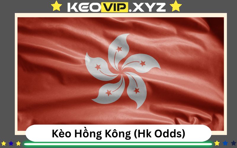 Kèo Hồng Kông (Hk Odds) Là Gì? Cách Đọc Và Ứng Dụng Thực Tế 1 Kèo Hồng Kông (Hk Odds) Là Gì? Cách Đọc Và Ứng Dụng Thực Tế