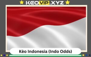 Kèo Indo (Indo Odds) Là Gì? Cách Đọc Và Chơi Trên Bảng Kèo