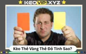 Kèo Thẻ Vàng Thẻ Đỏ Tính Sao? Quy Tắc Tính Điểm Và Các Loại Cược