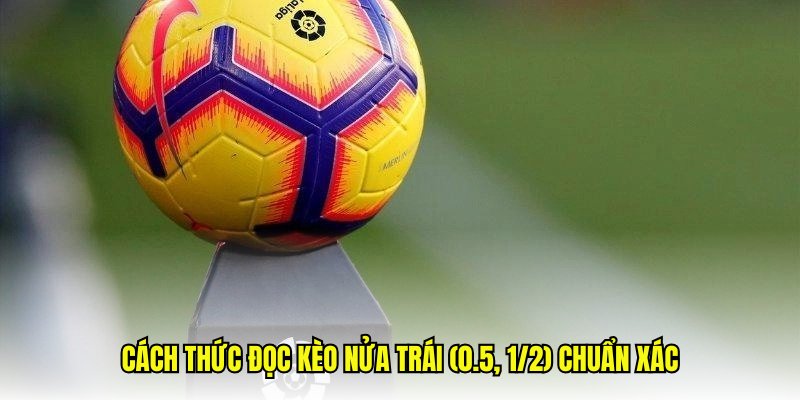 Kèo Chấp 1/2 Là Gì? Giải Mã Chi Tiết Kèo 0.5 Cho Cược Thủ 2 Kèo chấp 1/2 (Kèo 0.5) là gì?