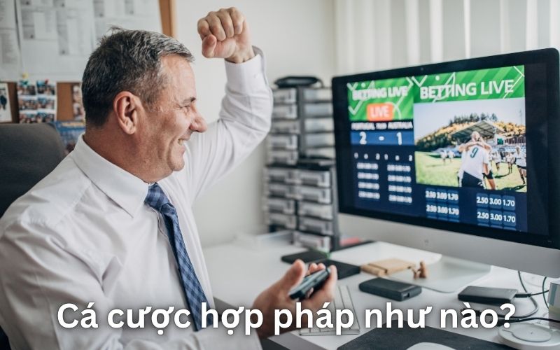 Cá Cược Bóng Đá Có Bị Bắt Không? Sự Thật Cần Biết Để Chơi 3 Khi nào cá cược bóng đá được xem là hợp pháp?