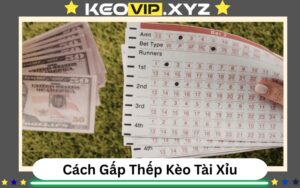 Phuong Phap Gap Thep Trong Keo Tai Xiu Bong Da