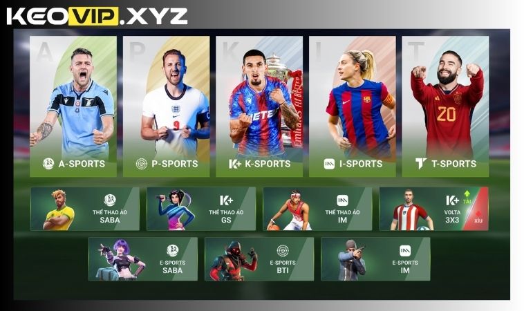 Cá Cược Thể Thao Q88 – Sân Chơi Cá Cược Bóng Đẳng Cấp Top #1 2 Sảnh thể thao đa vũ trụ – Đa dạng bộ môn, tỷ lệ cực chất